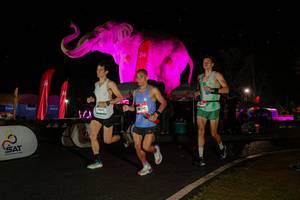 BIB: 
                            <button type="button" onclick="openModal(26535111)" class="btn btn-primary btn-sm float-right btn-popup" data-toggle="modal" data-target=".modal-high-quality">
                        <i class="fas fa-shopping-cart"></i> Add to Cart
                    </button>
                                            <button type="button" onclick="isThisMe(26535111, true)" class="btn btn-success btn-sm float-right btn-popup btn-isme hidden" data-toggle="tooltip" data-placement="bottom" title="นี่คือรูปของคุณใช่ไหม คลิกที่นี่เพื่อเอาเข้าอัลบั้ม">
                        <i class="fas fa-plus"></i> Add to album
                    </button>
                    <button type="button" onclick="isThisMe(26535111, false)" class="btn btn-warning btn-sm float-right btn-popup btn-isnotme hidden">
                        <i class="fas fa-ban"></i> Remove from album
                    </button>